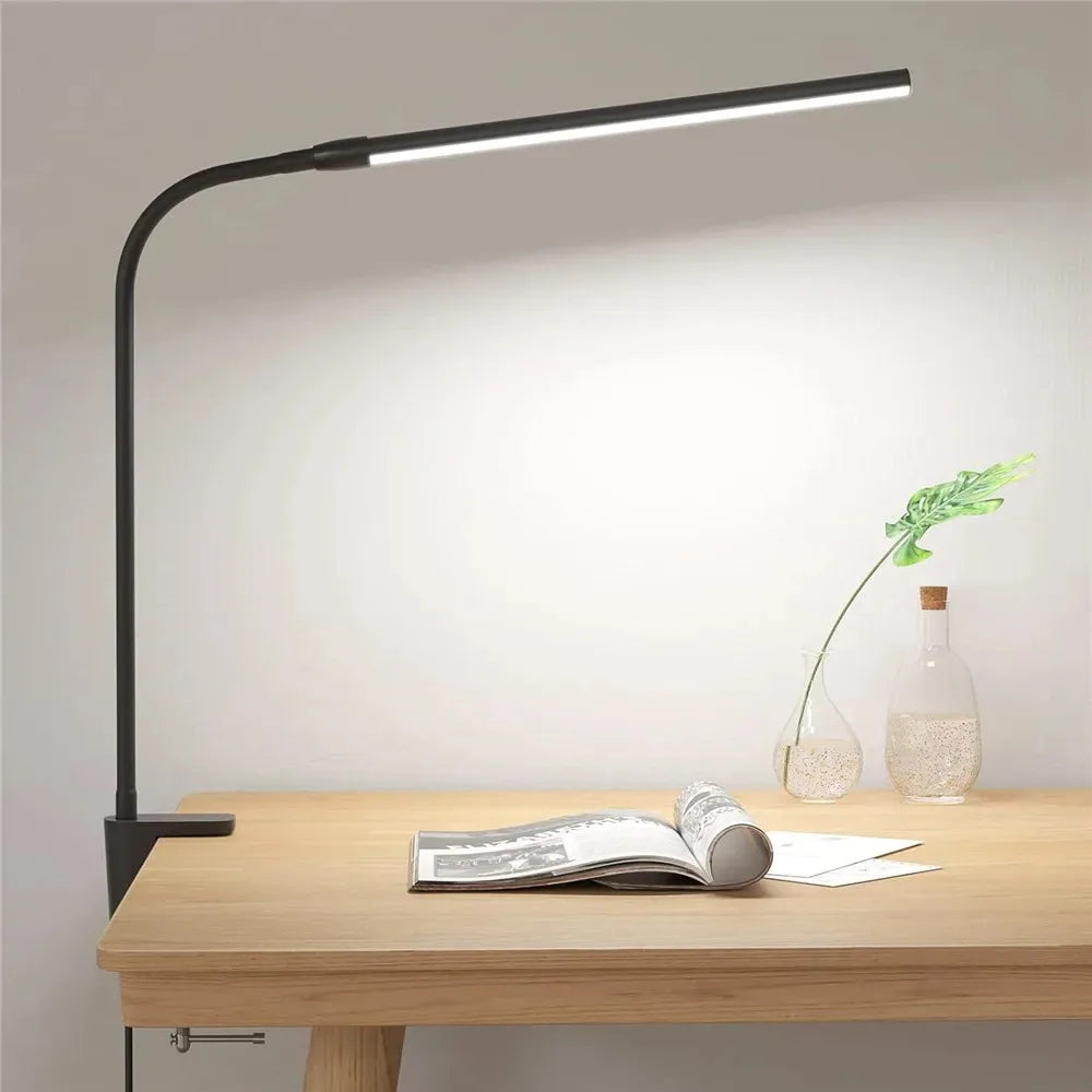 Dual-Head Dimmable LED Desk Lamp