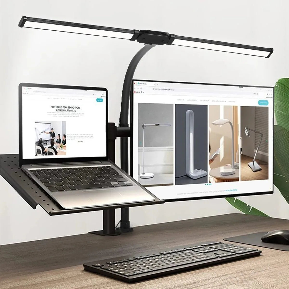 Dual-Head Dimmable LED Desk Lamp